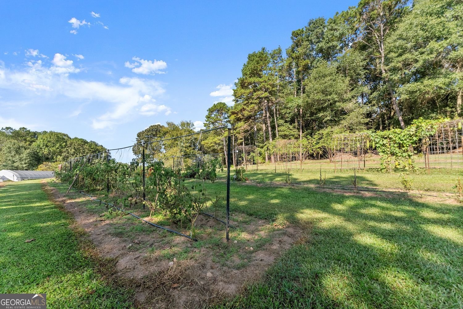 195 Sims Farm Way Maysville - 40