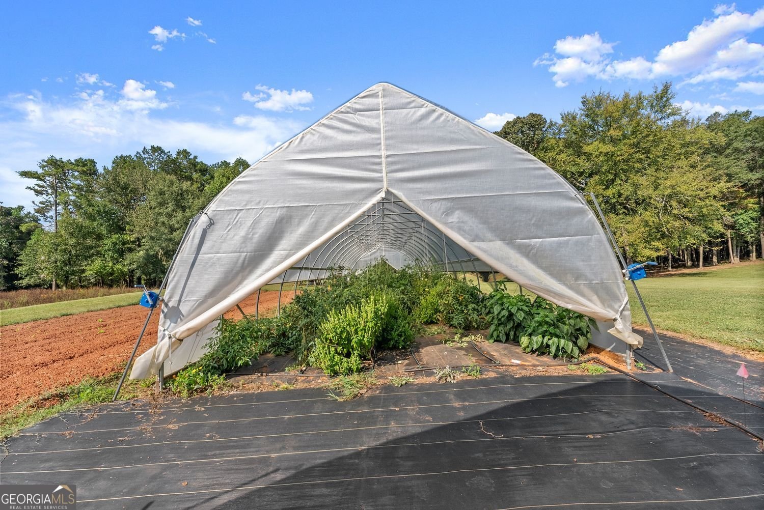 195 Sims Farm Way Maysville - 42