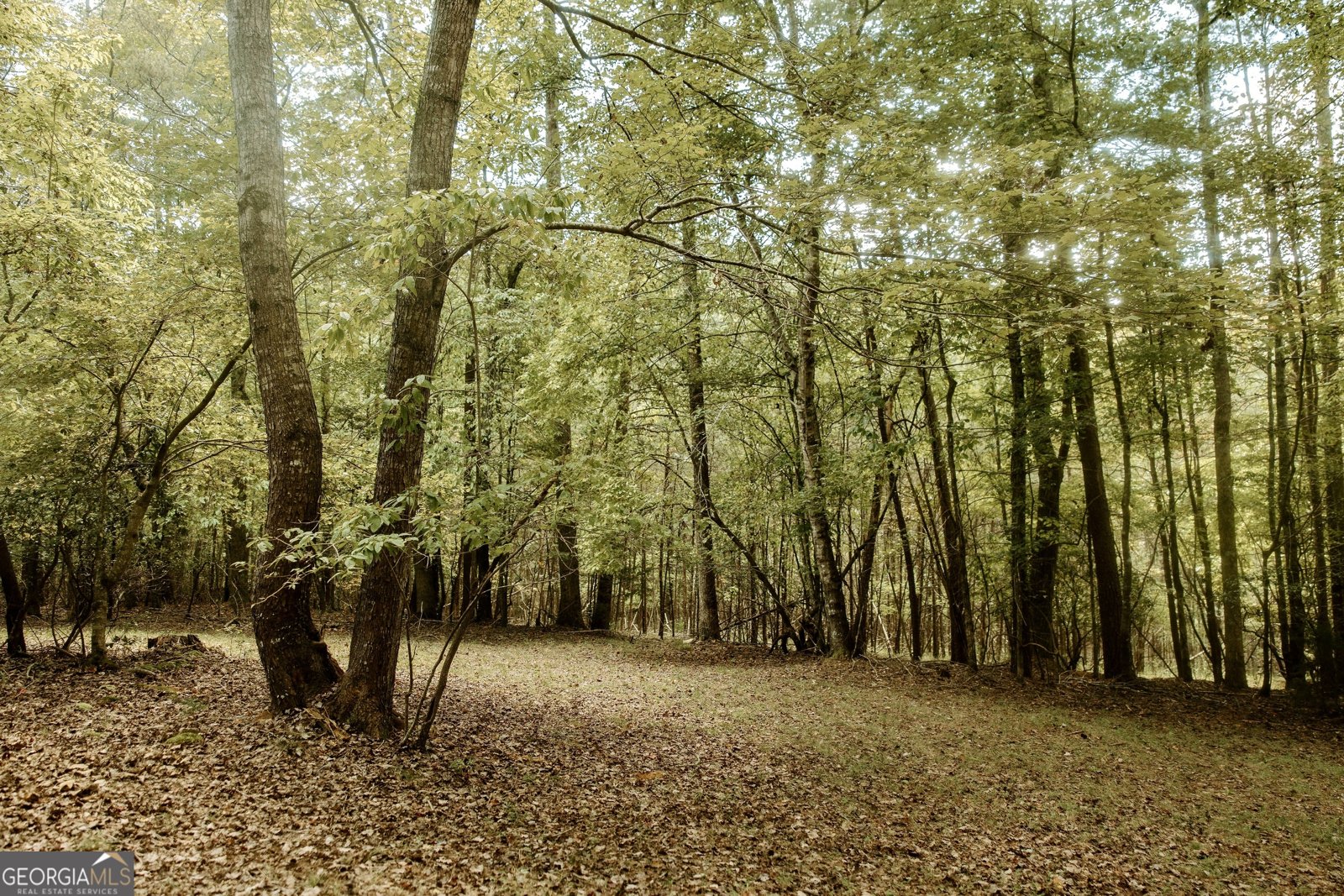 837 River Forest Run Cleveland - 27