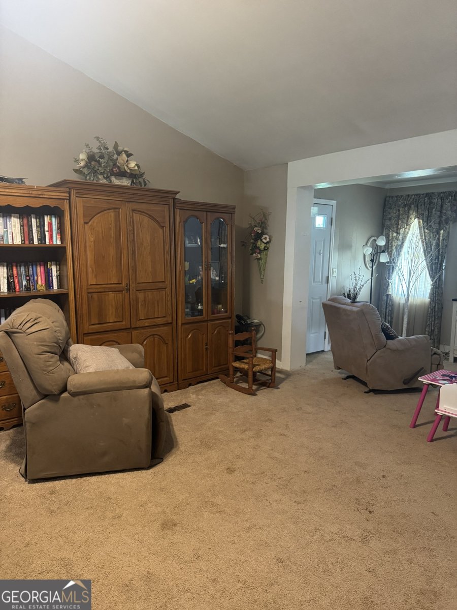 4517 Ga Highway 11 Hillsboro - 11