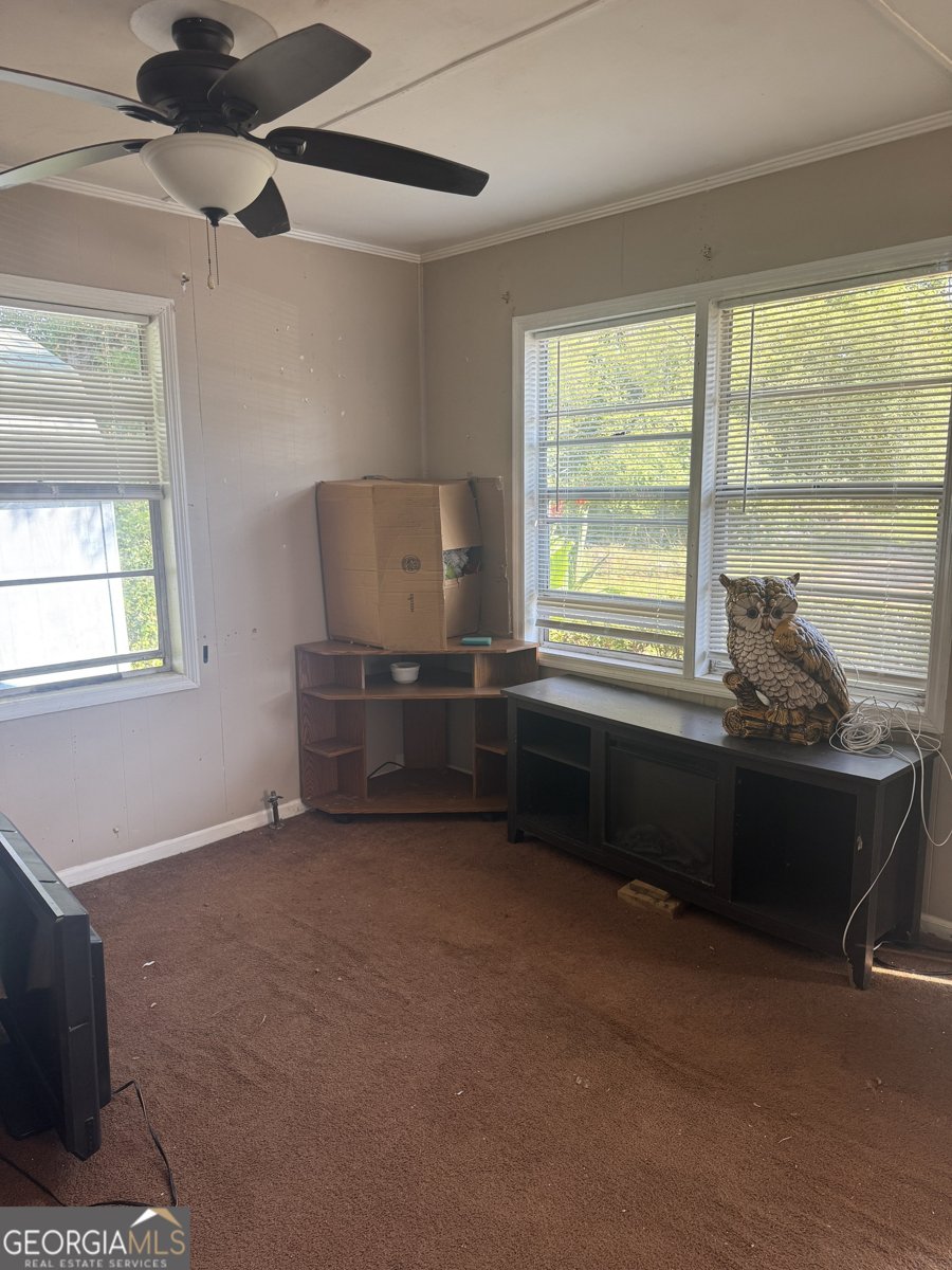 4517 Ga Highway 11 Hillsboro - 13