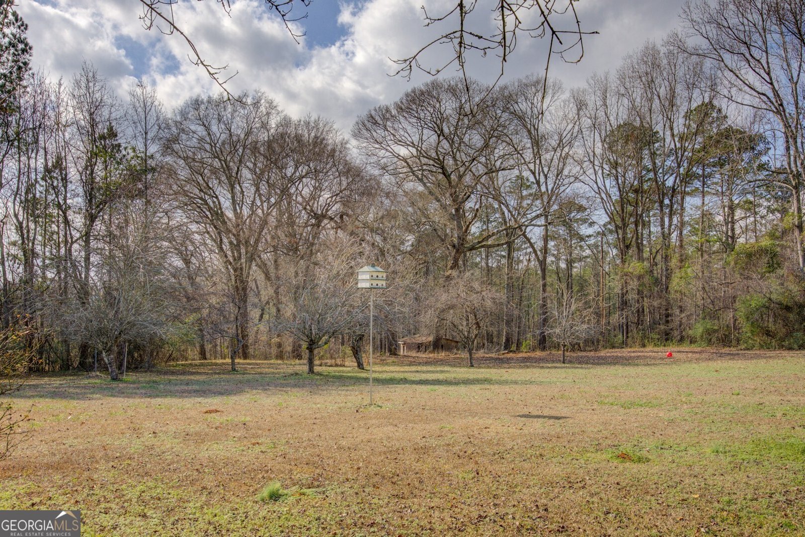 4517 Ga Highway 11 Hillsboro - Photo 40