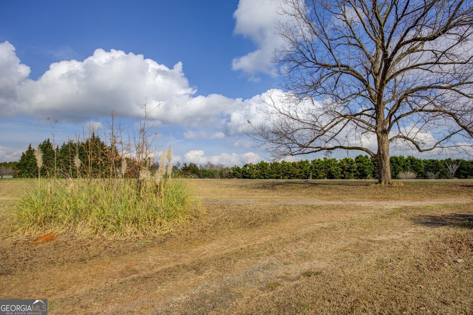 4517 Ga Highway 11 Hillsboro - Photo 41