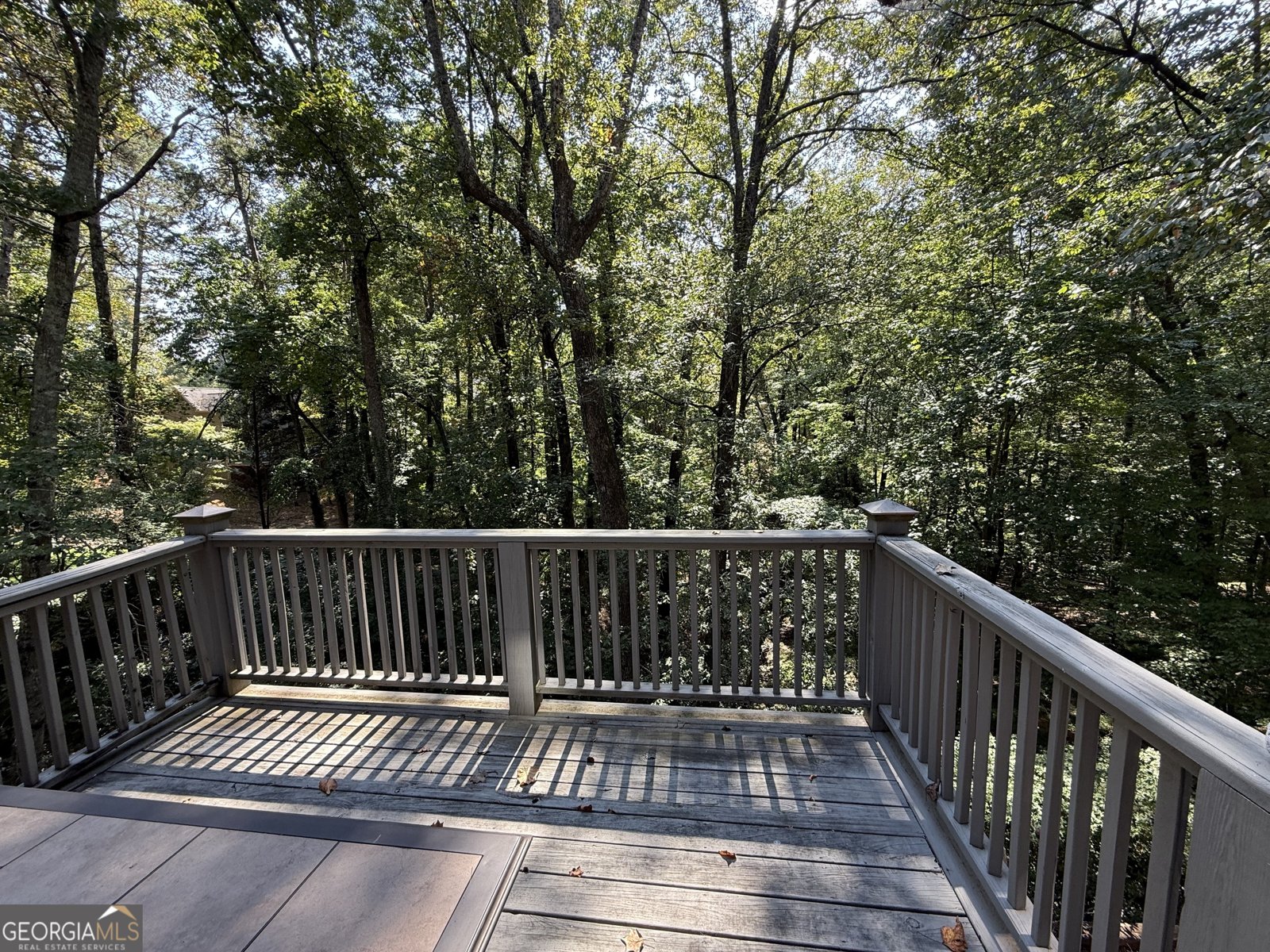 7725 Mill Cove Road Cumming - 7