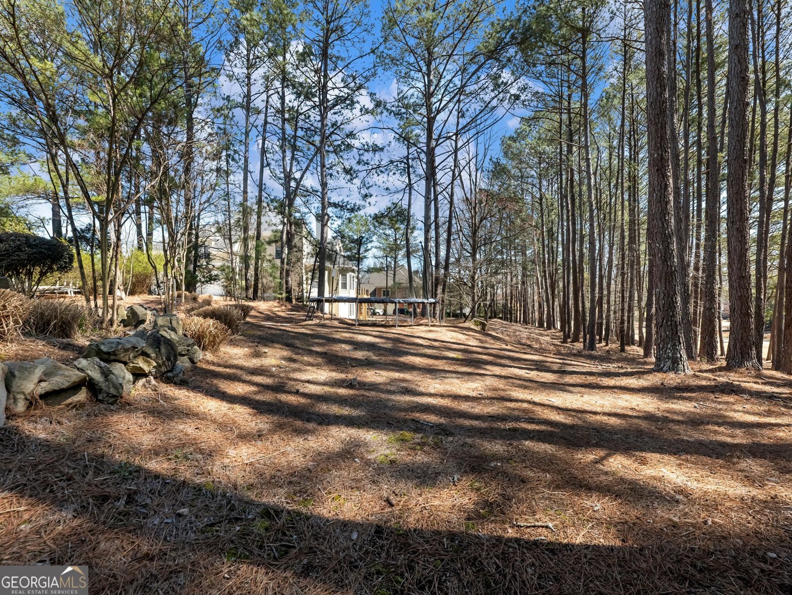 5727 Gene Sarazen Drive Braselton - 20