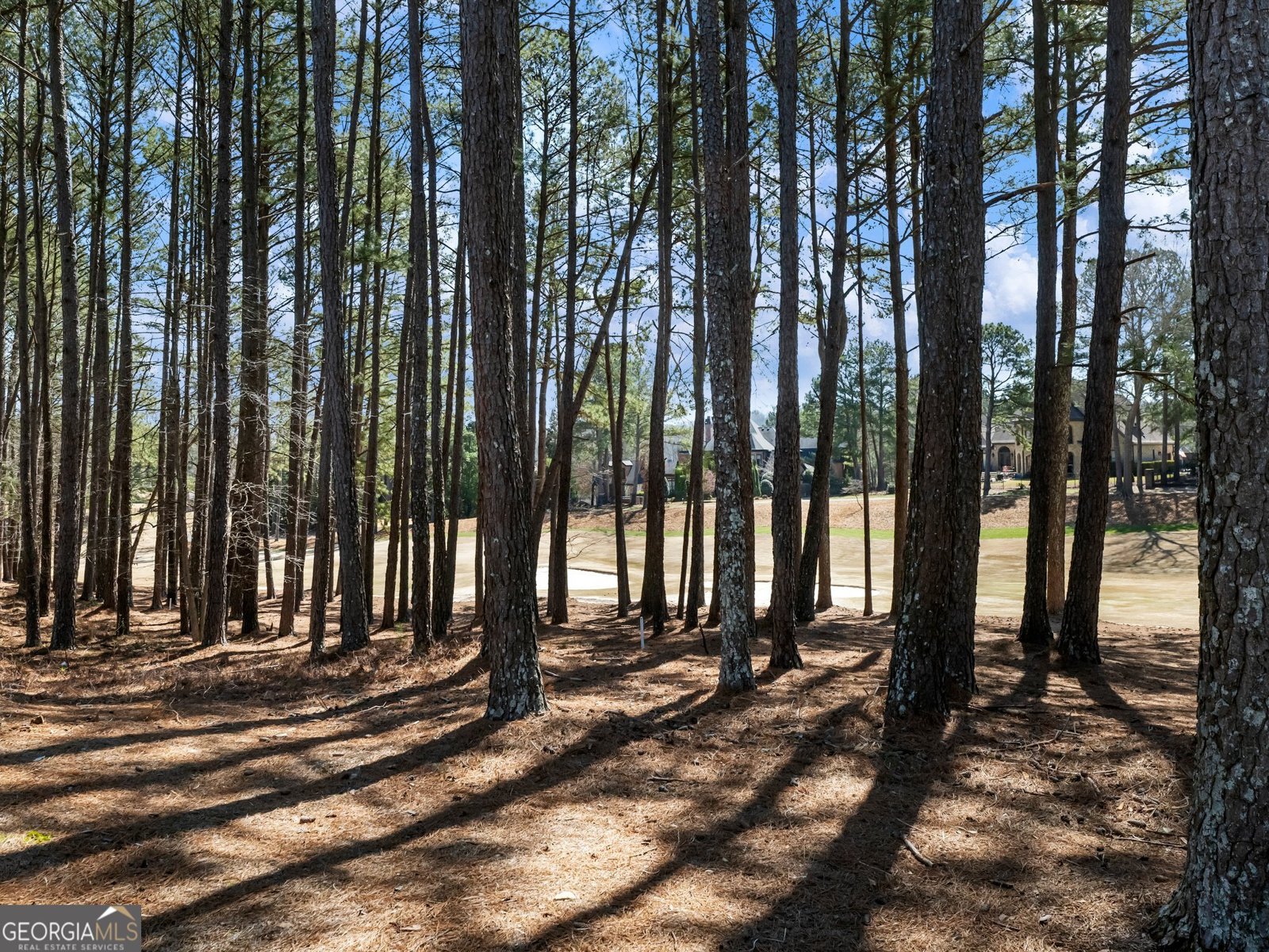 5727 Gene Sarazen Drive Braselton - 22