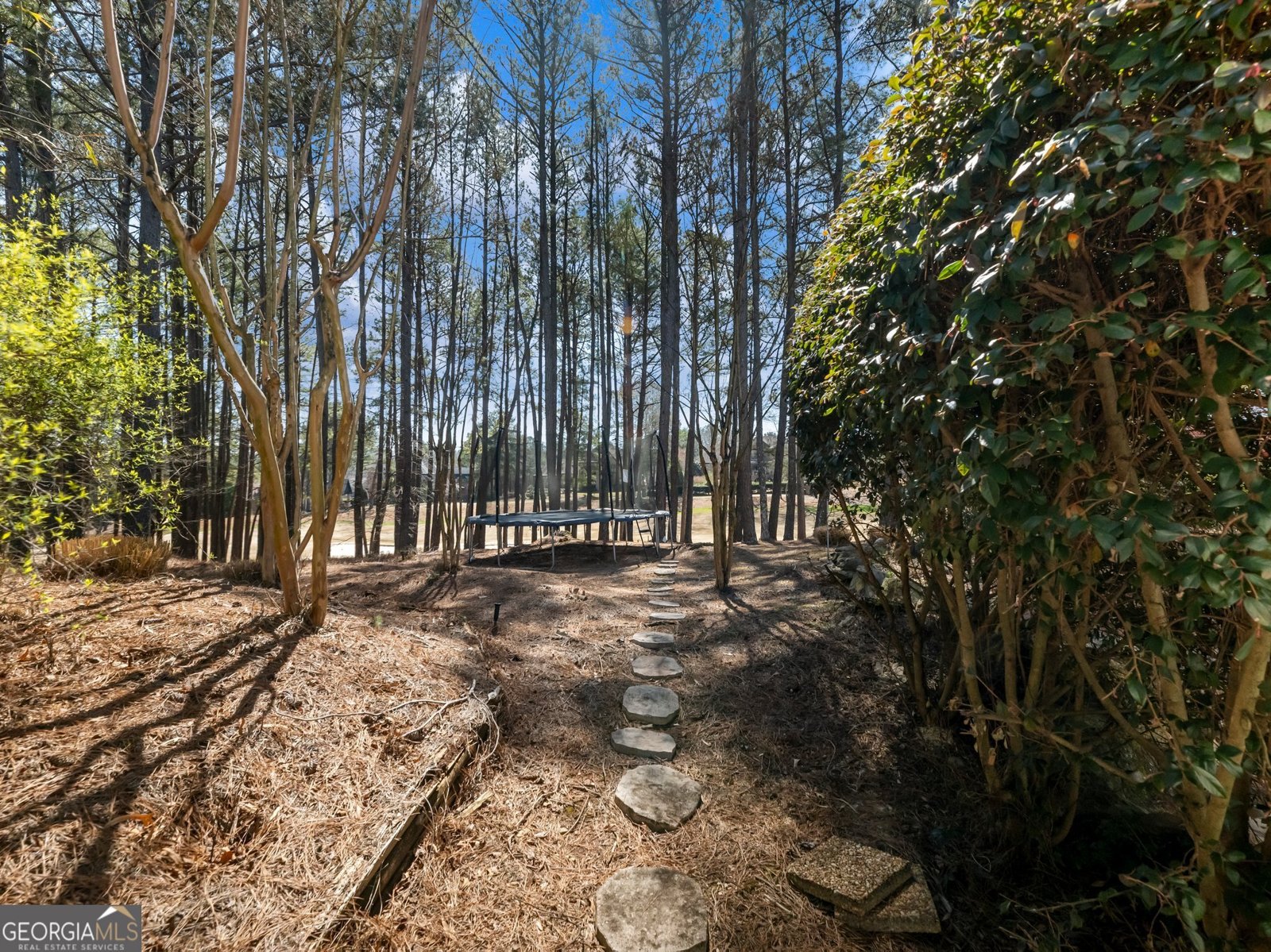 5727 Gene Sarazen Drive Braselton - 25