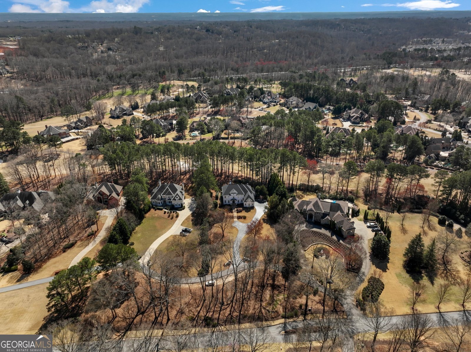 5727 Gene Sarazen Drive Braselton - 8