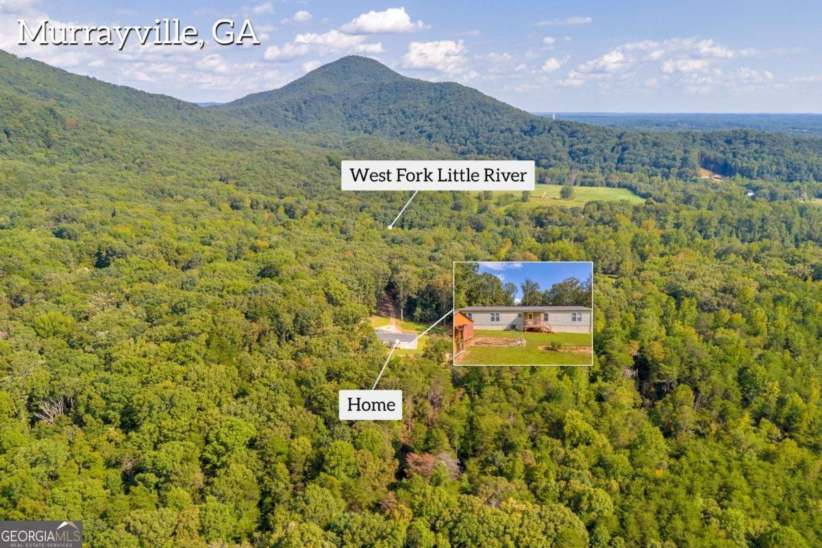 635 White Oak Trail Murrayville - 47