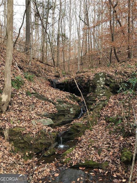 55 Sweetwater Way Lula - 9