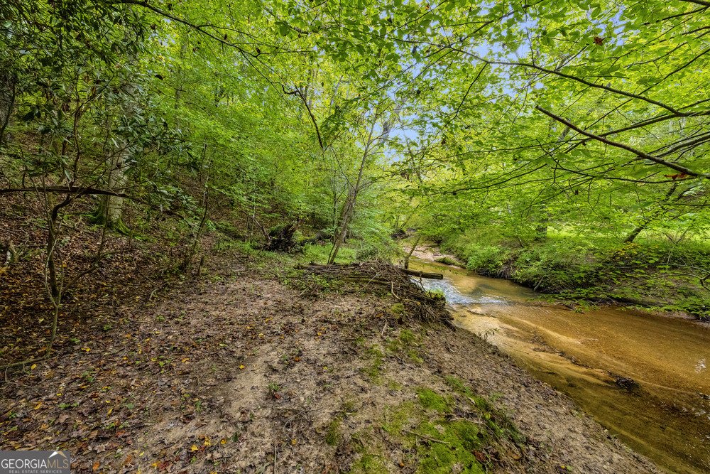 143 Wild Turkey Trail Cleveland - 1