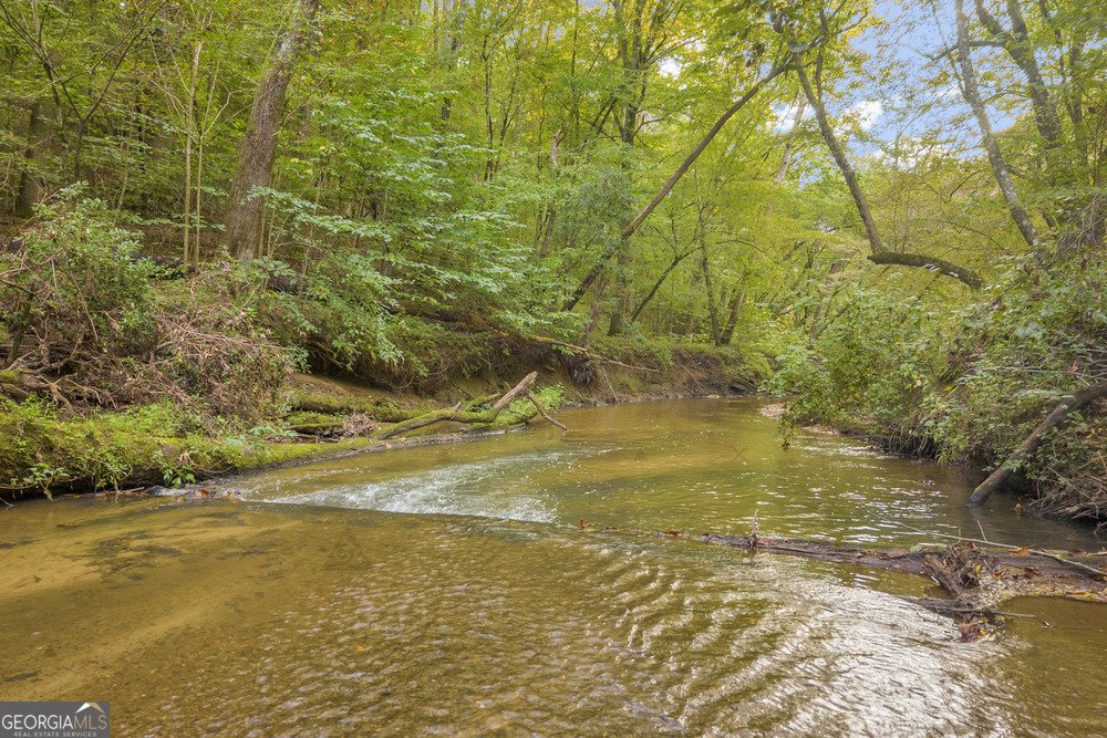 143 Wild Turkey Trail Cleveland - 10