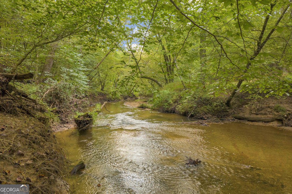 143 Wild Turkey Trail Cleveland - 15