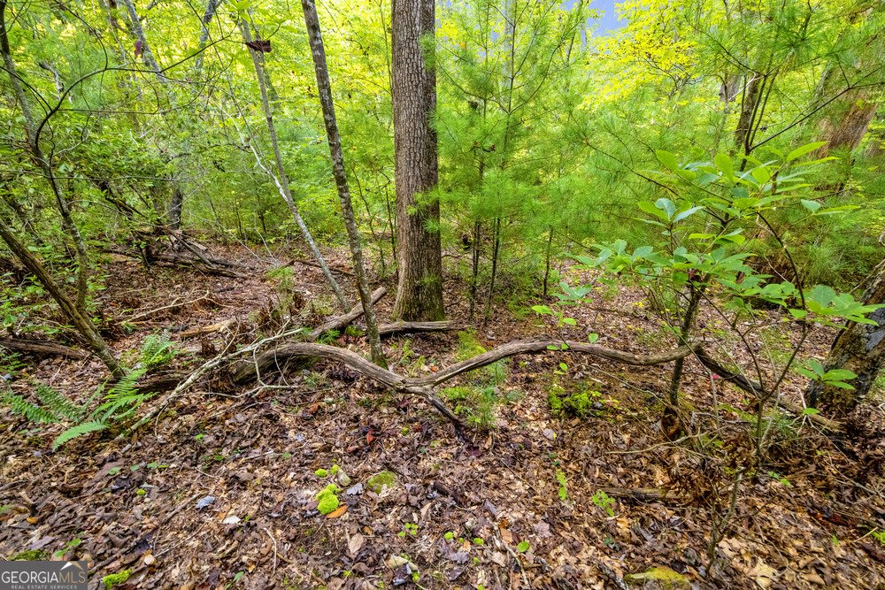 143 Wild Turkey Trail Cleveland - 3