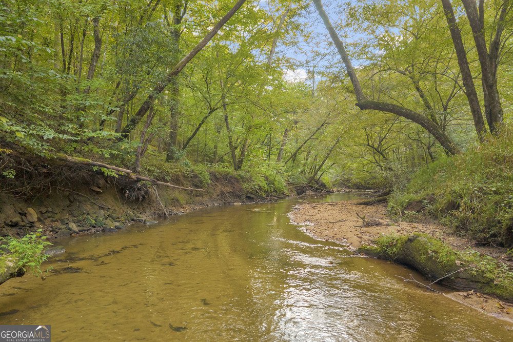 143 Wild Turkey Trail Cleveland - 7