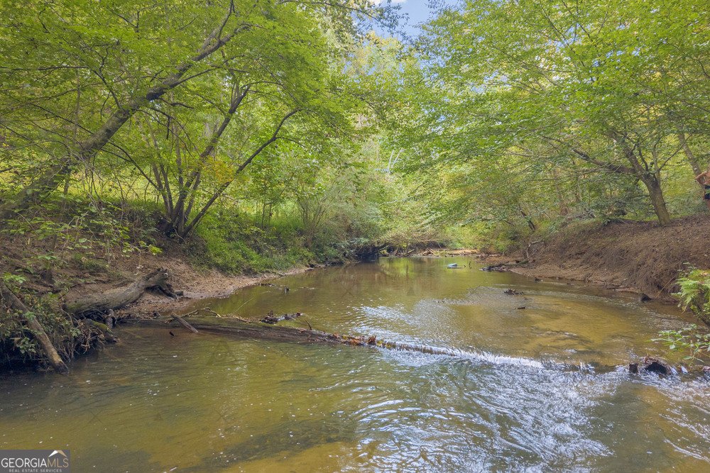 143 Wild Turkey Trail Cleveland - 8