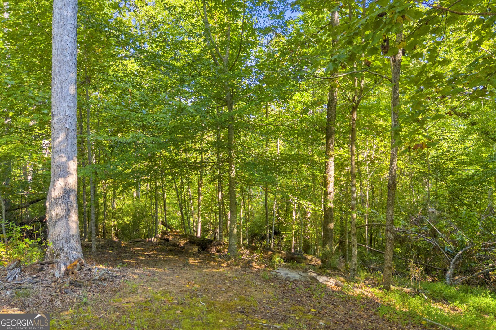 143 Wild Turkey Trail Cleveland - 84