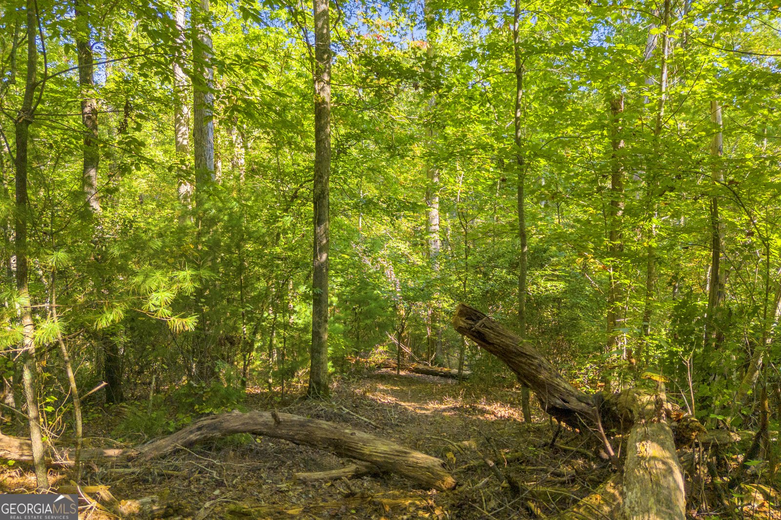 143 Wild Turkey Trail Cleveland - 85