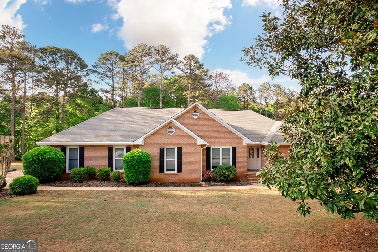 1030 Lakehaven Way McDonough - 3
