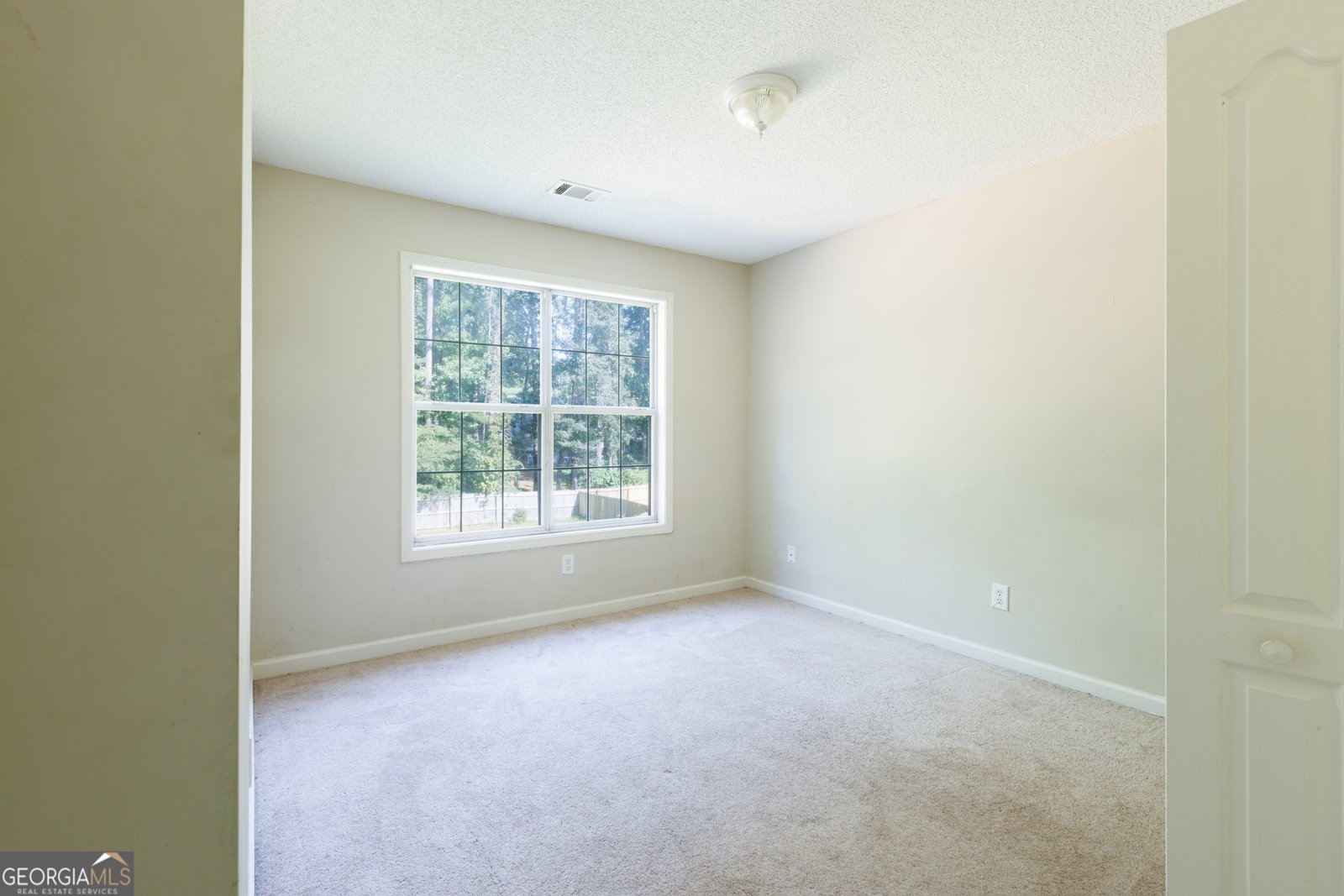 425 Cannonball Court Stockbridge - 10