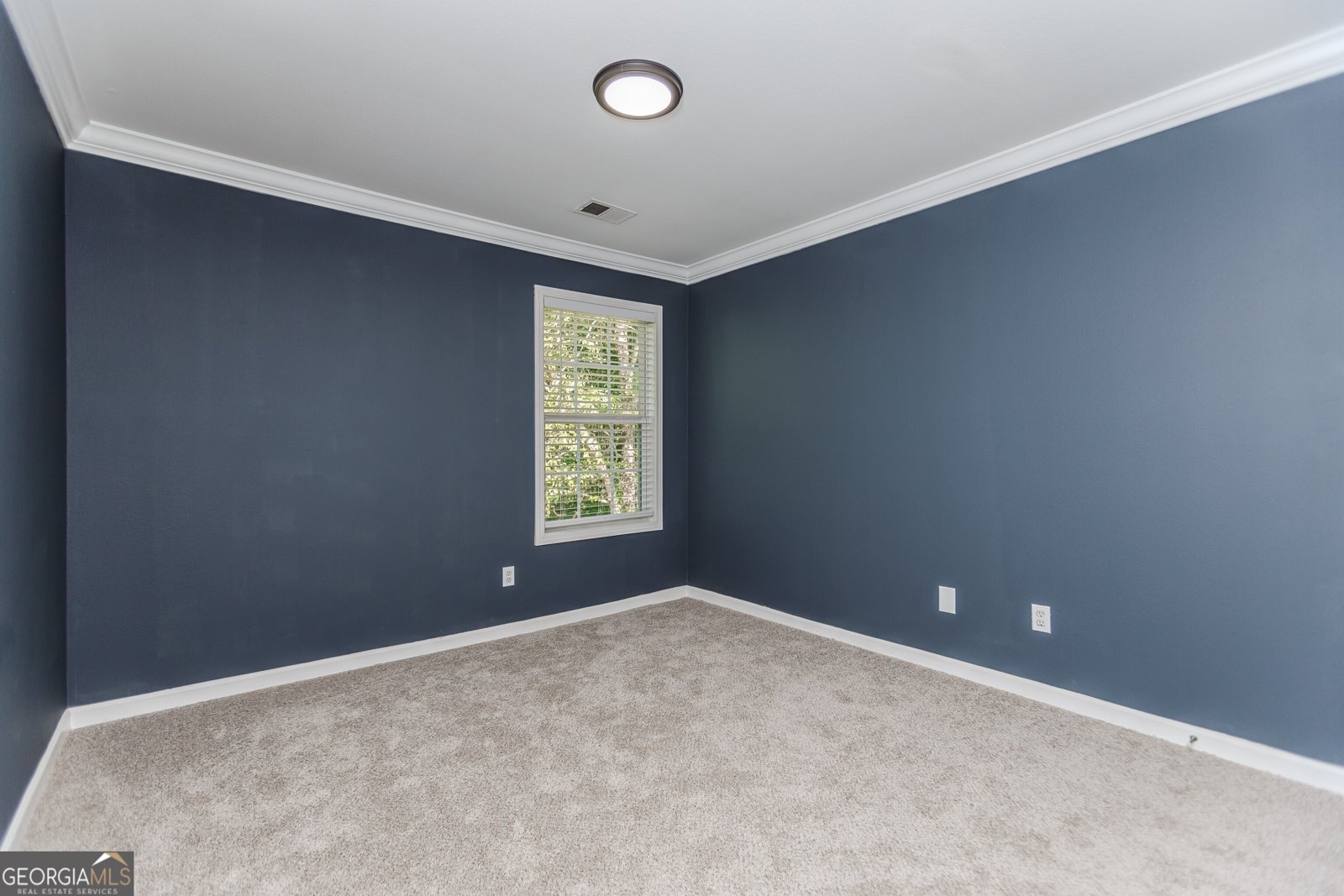 6895 White Walnut Way Braselton - 22