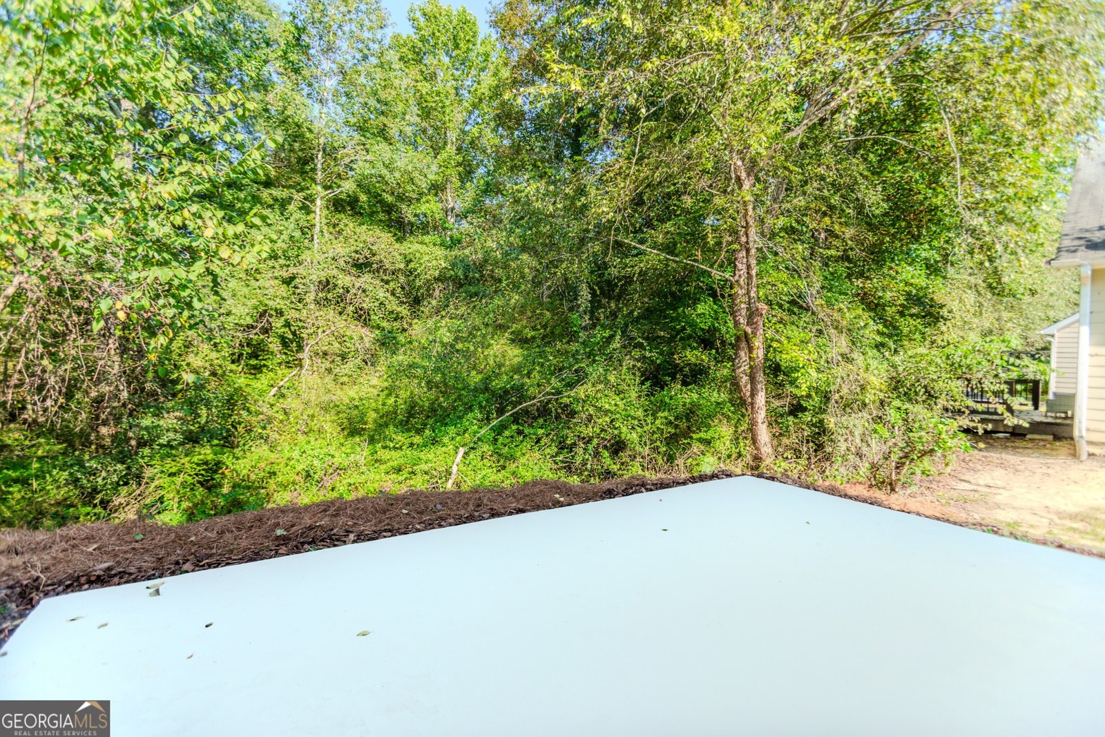6895 White Walnut Way Braselton - 24