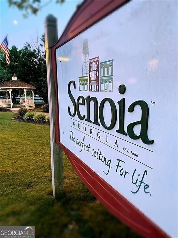 126 Morgan Street Senoia - 19