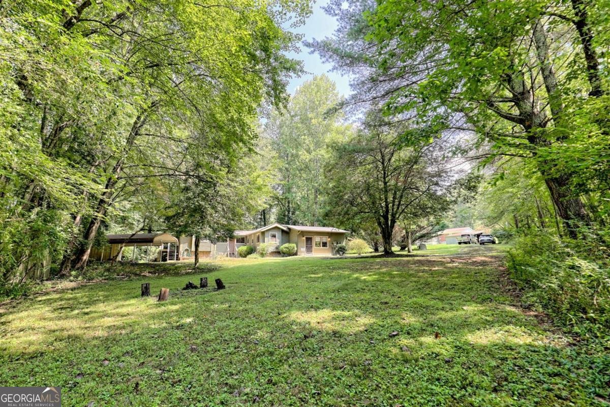 641 Cold Branch Road Hayesville - 4