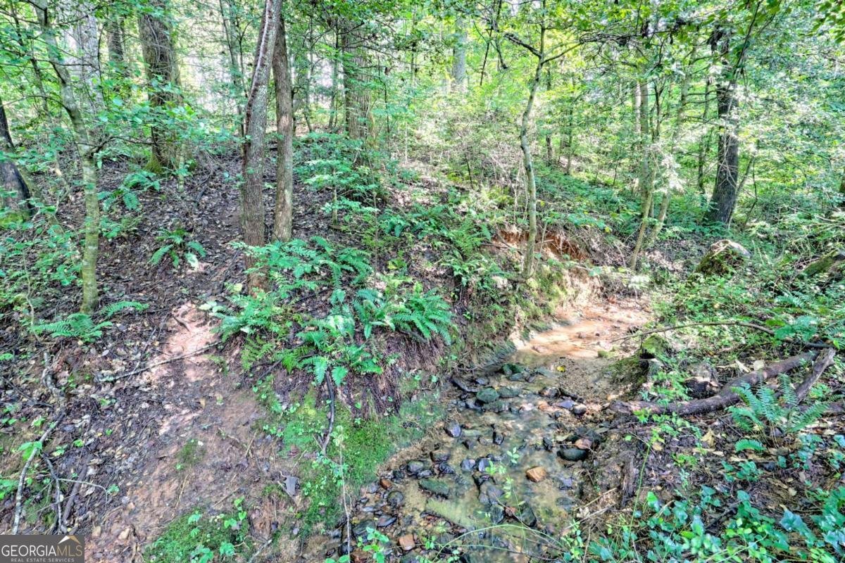 641 Cold Branch Road Hayesville - 8