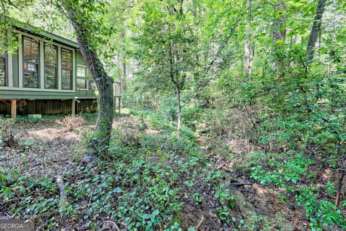 641 Cold Branch Road Hayesville - 9