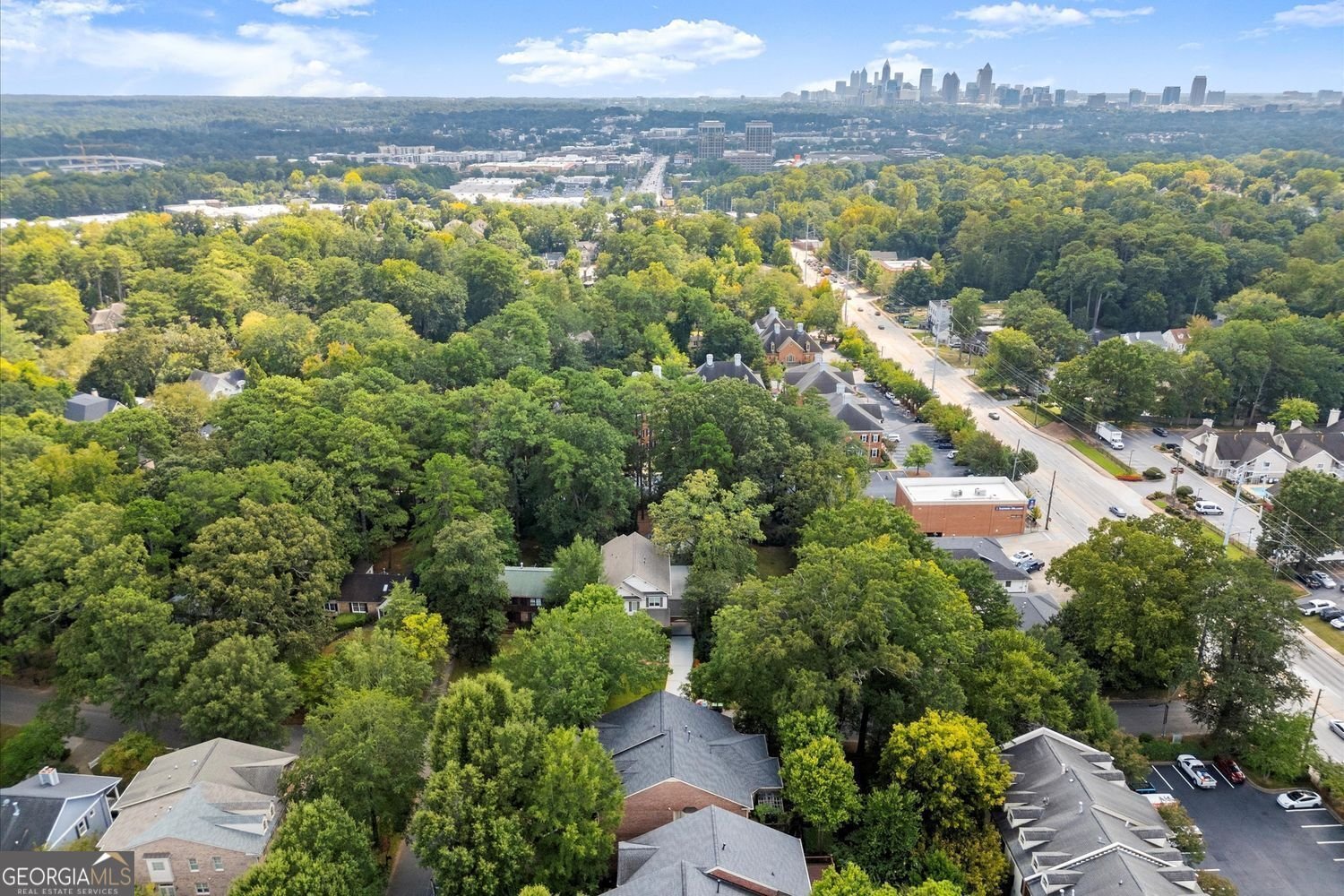 604 Timm Valley Road Atlanta - 49