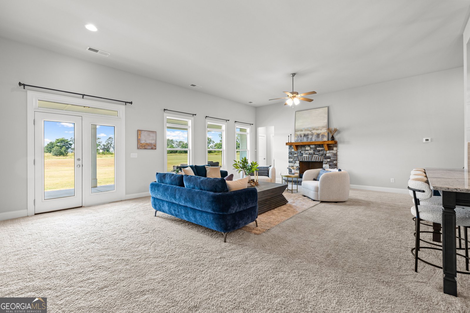 70 Mcmillan Way Senoia - 30