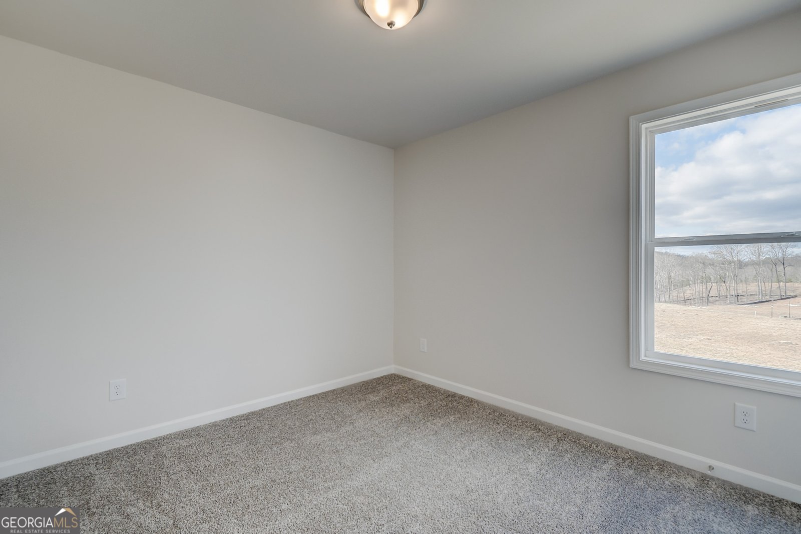 703 Bristol Drive Loganville - 25