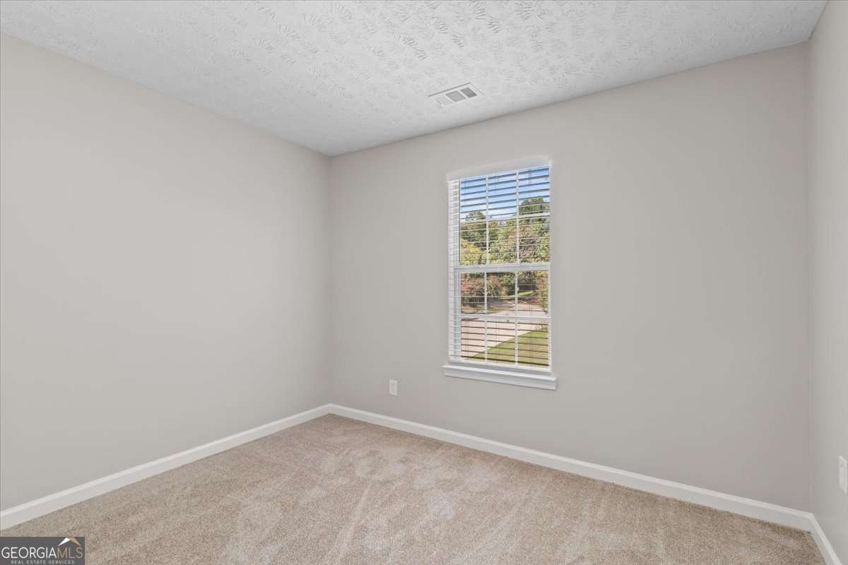 4851 Daintree Court Flowery Branch - 19