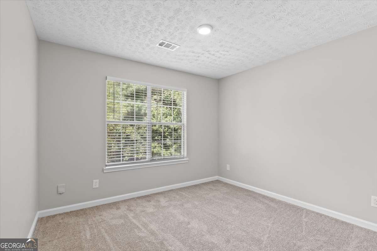 4851 Daintree Court Flowery Branch - 20