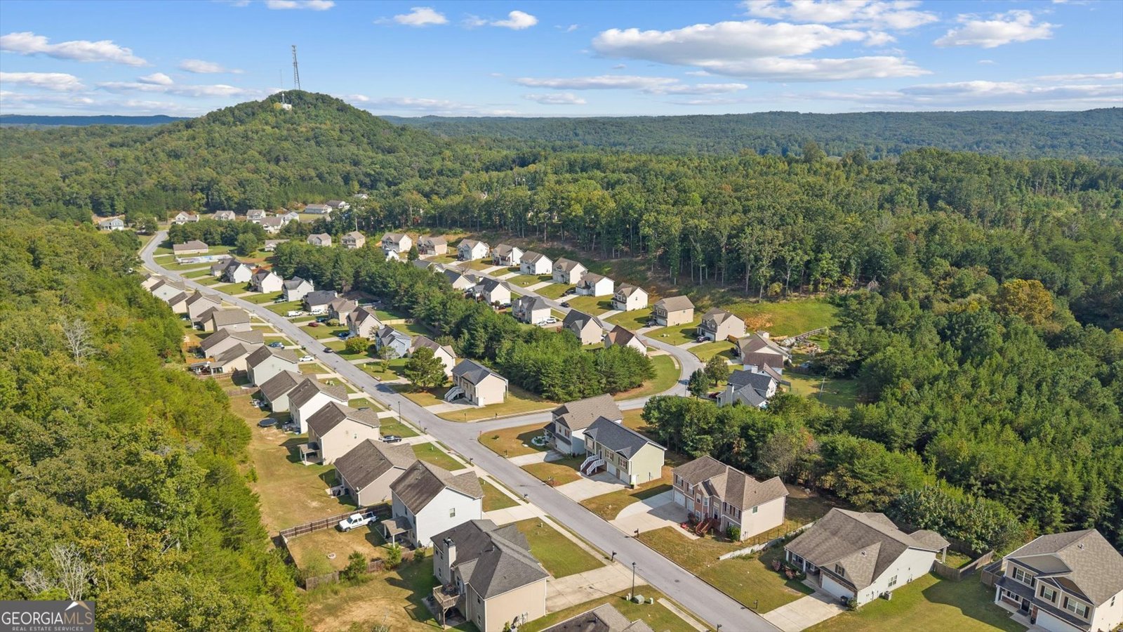 233 Arbor Drive Rockmart - 41