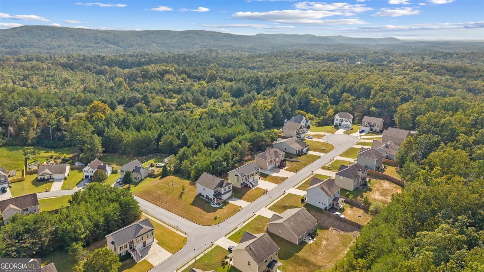 233 Arbor Drive Rockmart - 42