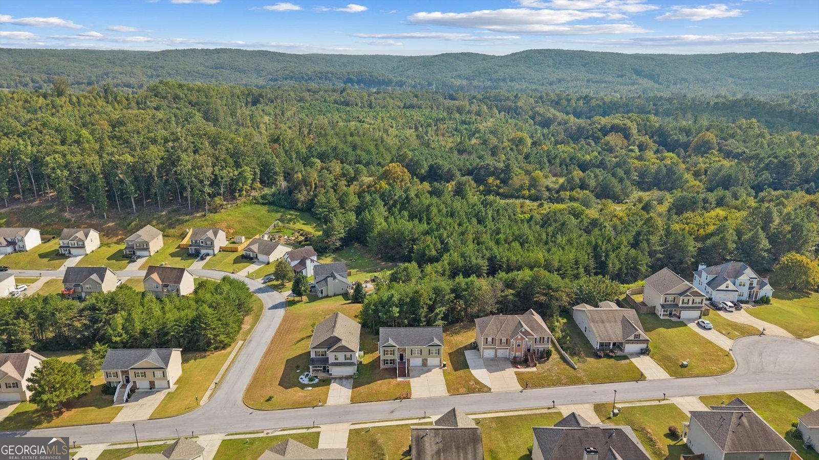 233 Arbor Drive Rockmart - 43