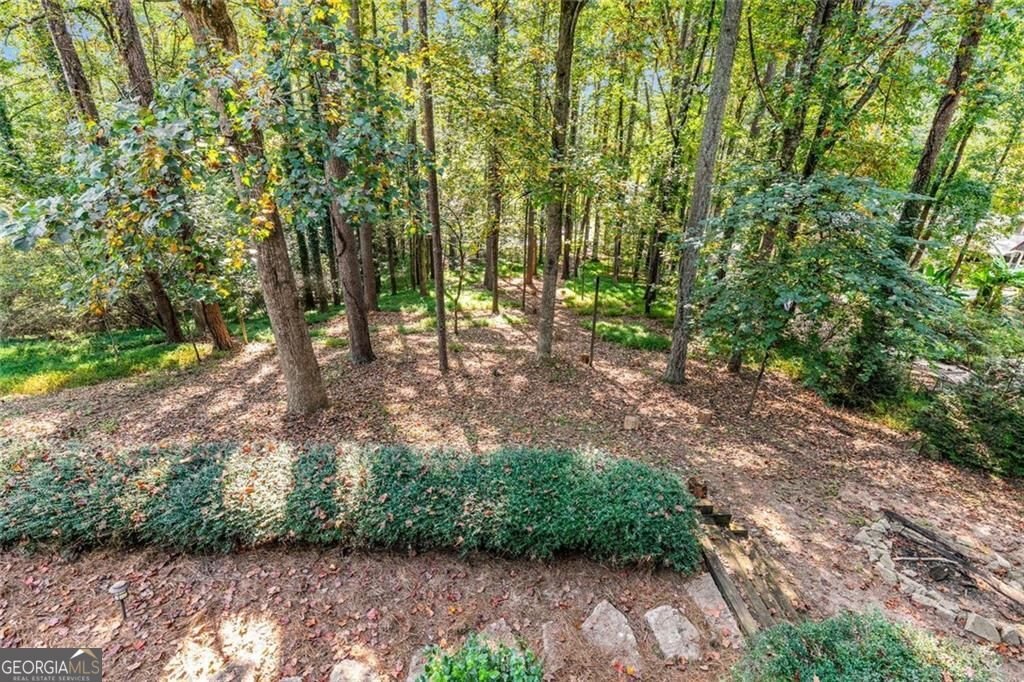 2320 Pilgrim Mill Way Cumming - 41