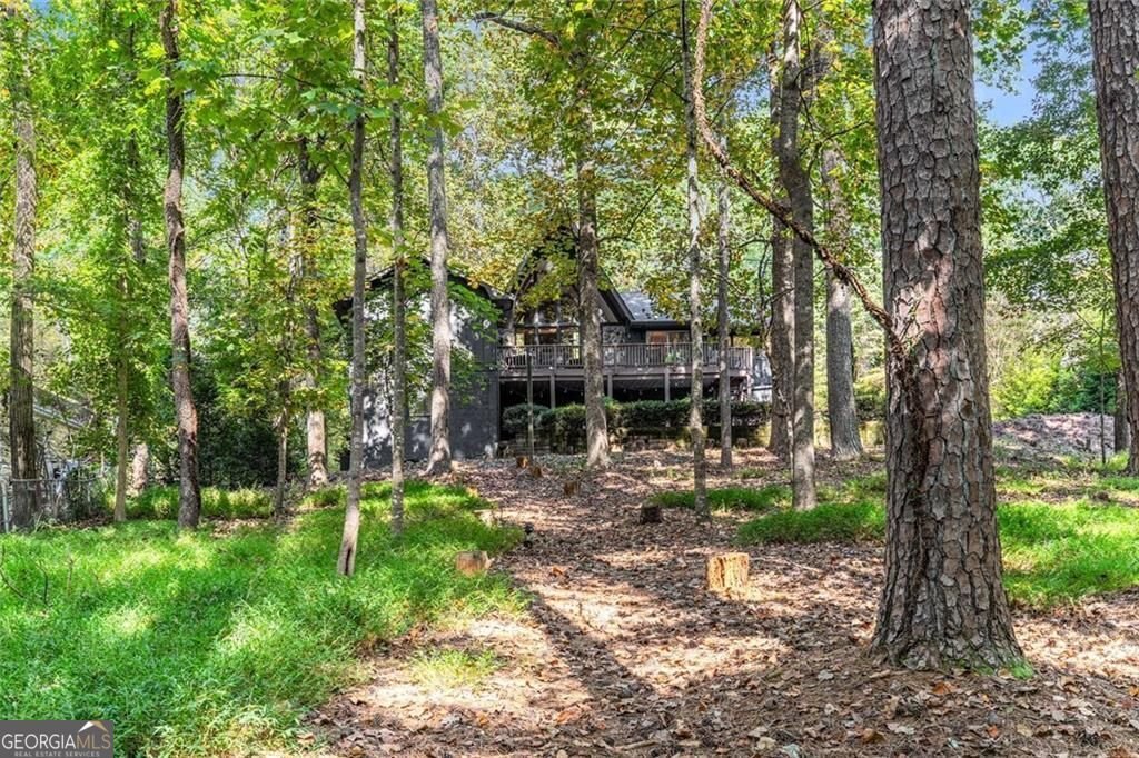 2320 Pilgrim Mill Way Cumming - 47