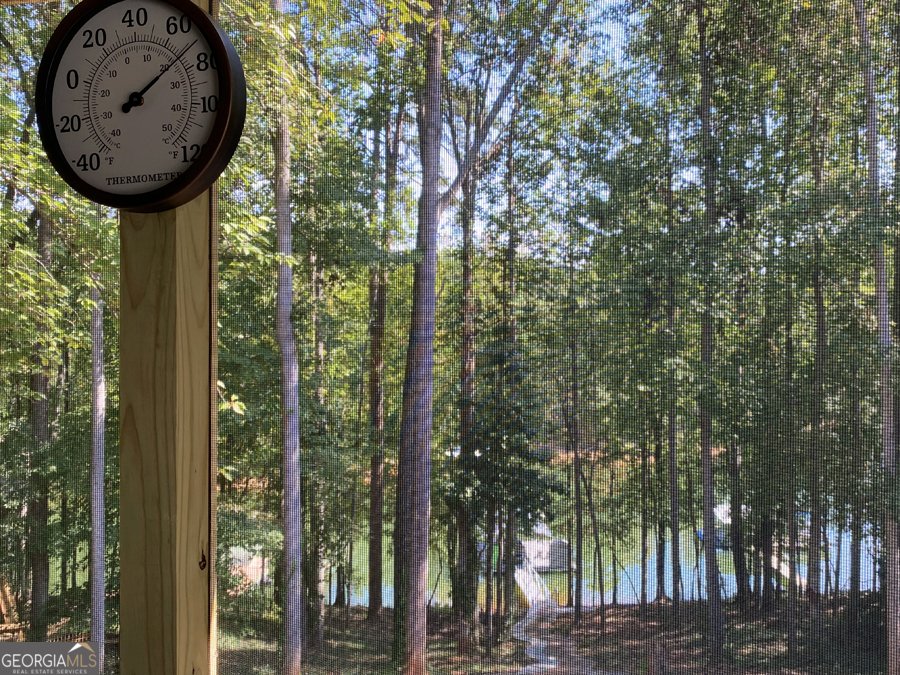 910 Knottywood Drive Lavonia - 23