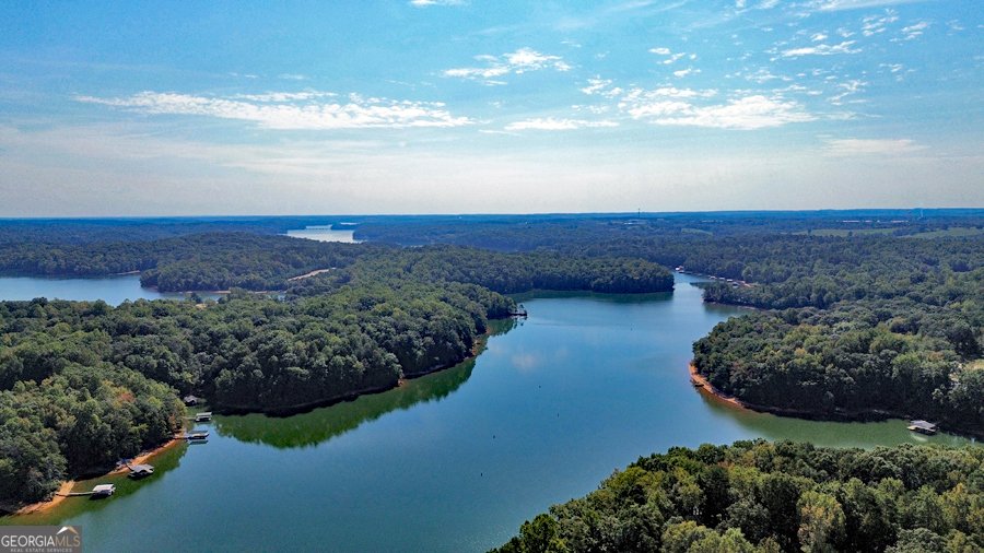 910 Knottywood Drive Lavonia - 30
