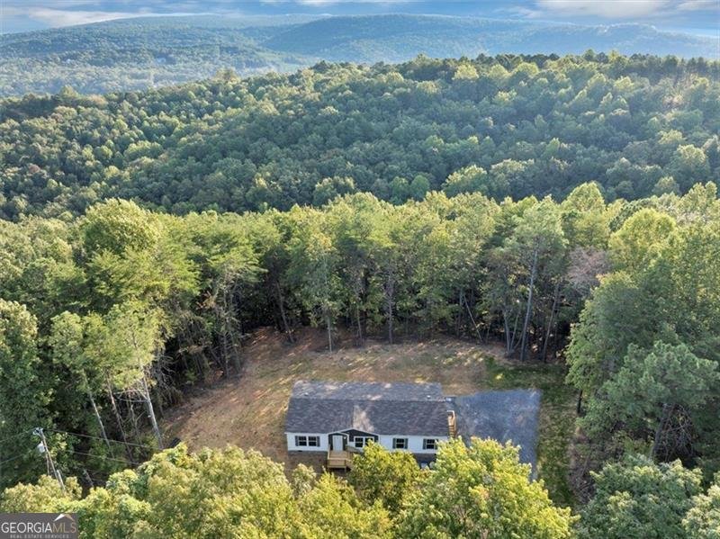 126 Bagwell Trail Waleska - 40