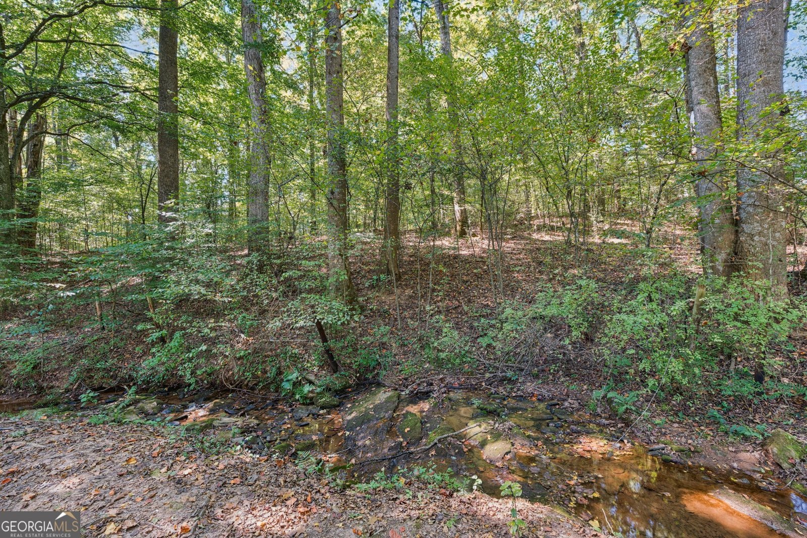 8420 Sagewood Drive Gainesville - 11