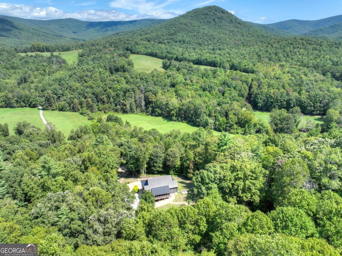 4714 Old Bucktown Road Ellijay - 20