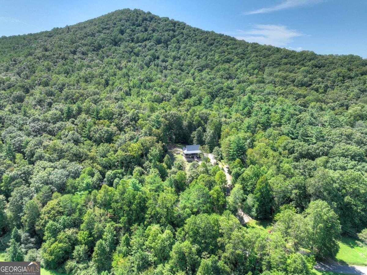 4714 Old Bucktown Road Ellijay - 21