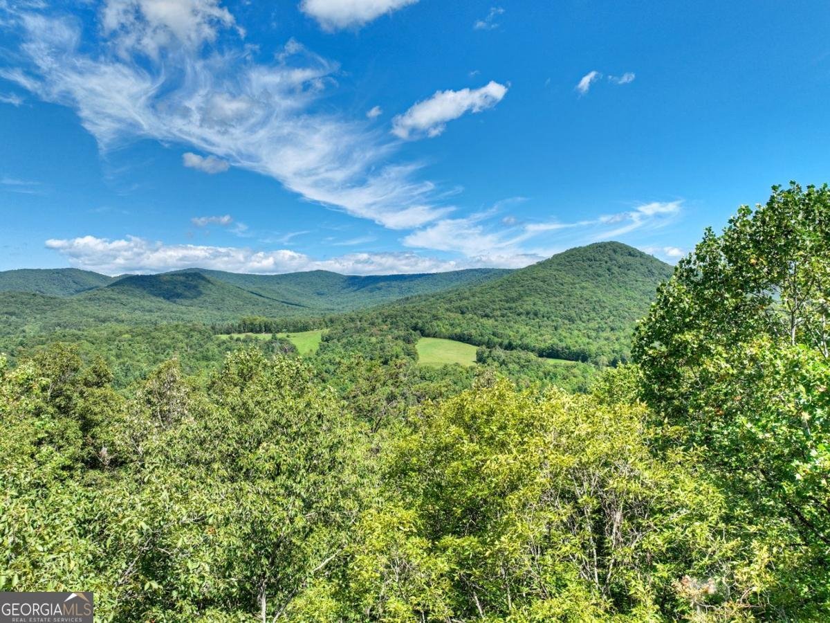4714 Old Bucktown Road Ellijay - 22
