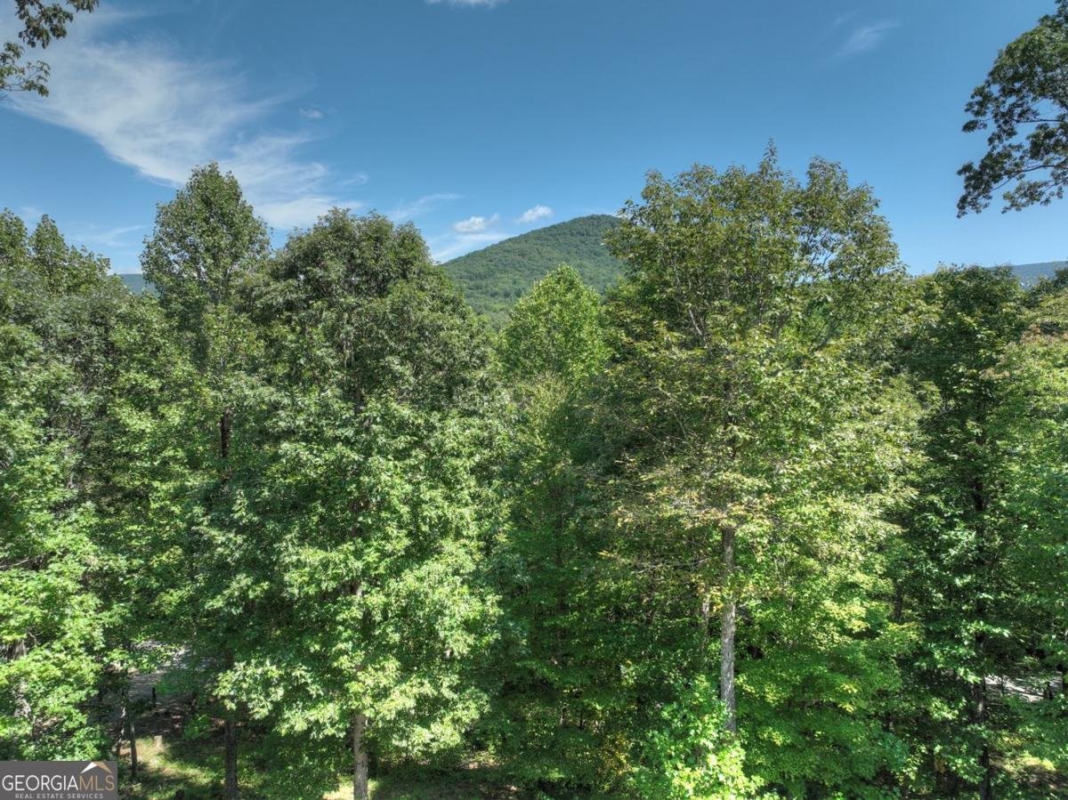 4714 Old Bucktown Road Ellijay - 23