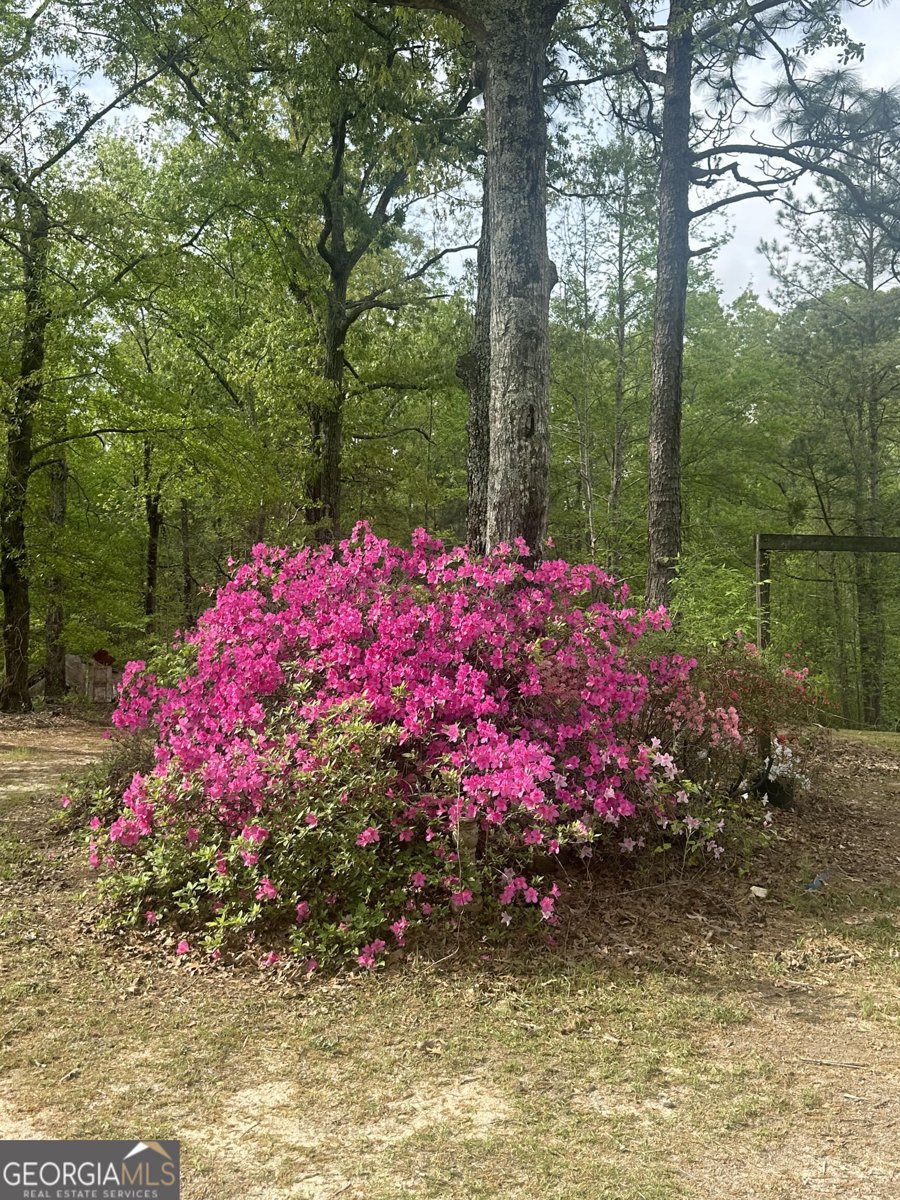 1455 Fred Hall Road Gordon - 18