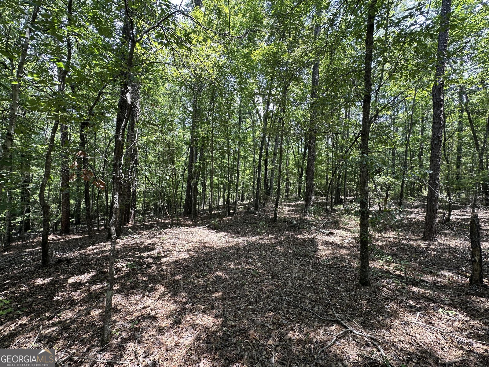 1455 Fred Hall Road Gordon - 24